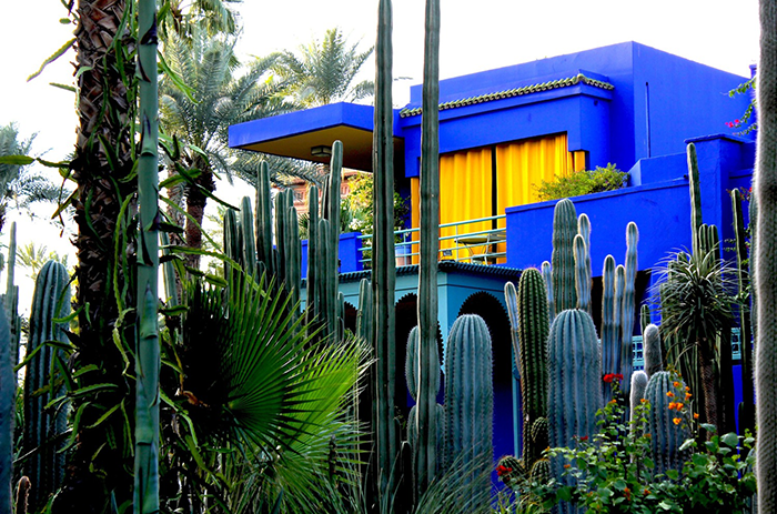 The Majorelle Garden: Heart of Marrakech next to the Yves Saint-Laurent museum