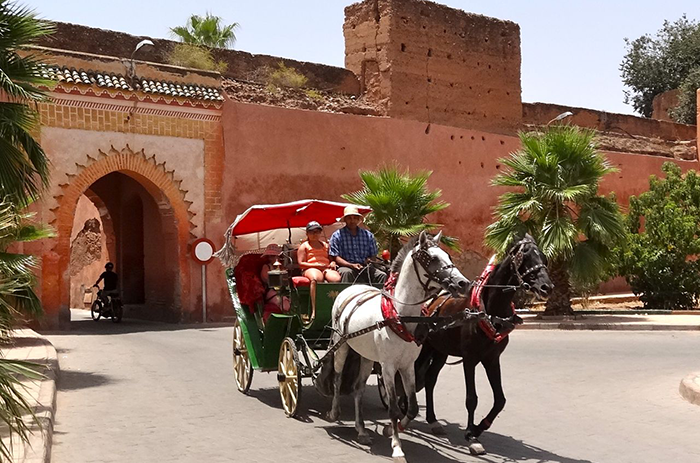 What to Visit in Marrakech : A Journey Through the Red City’s Wonders