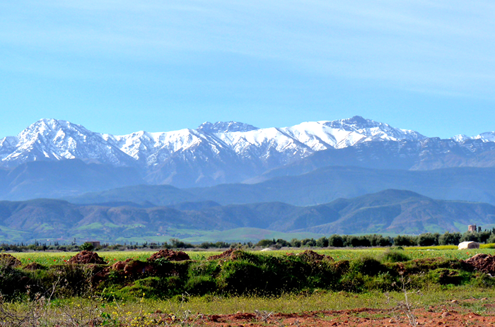 Why You Should Visit Marrakech: A Timeless Destination Full of Wonder